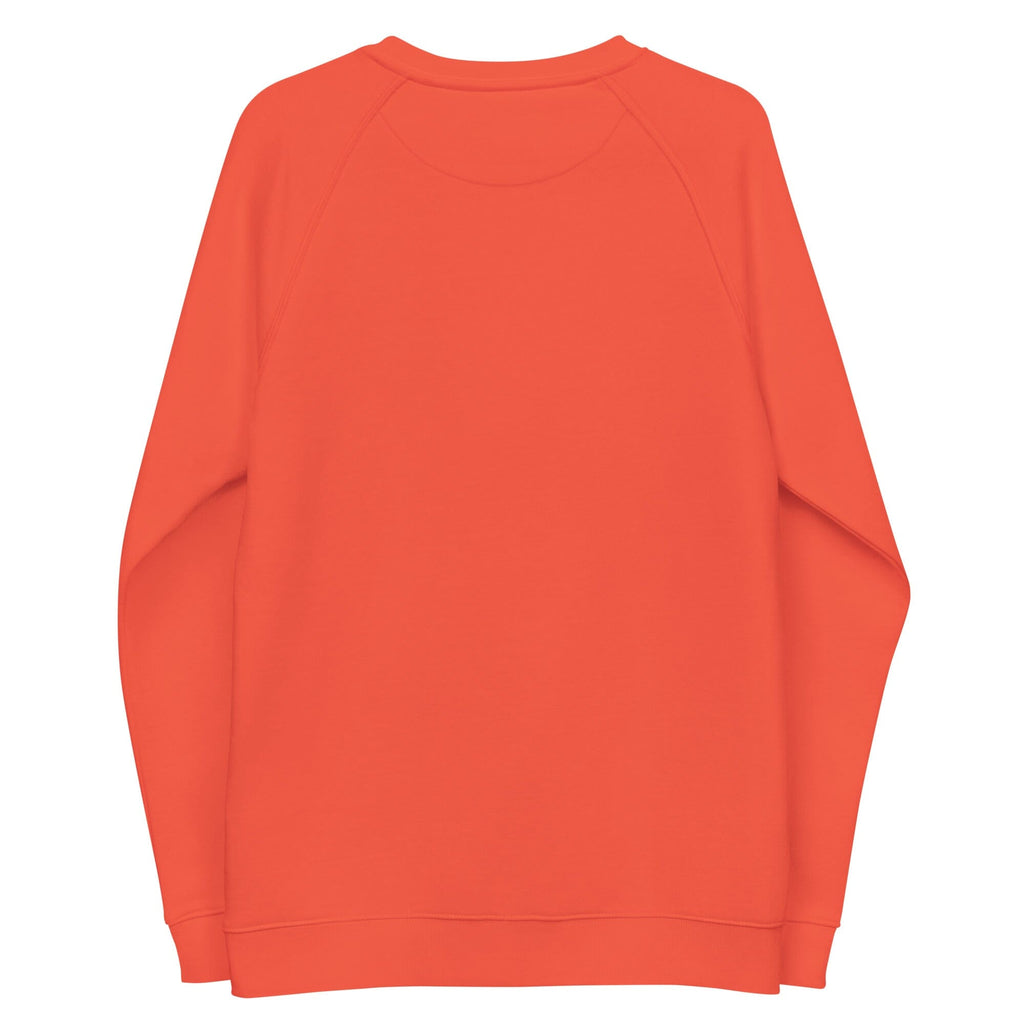 DECODED TYPE 4.0 organic raglan sweatshirt Embattled Clothing 