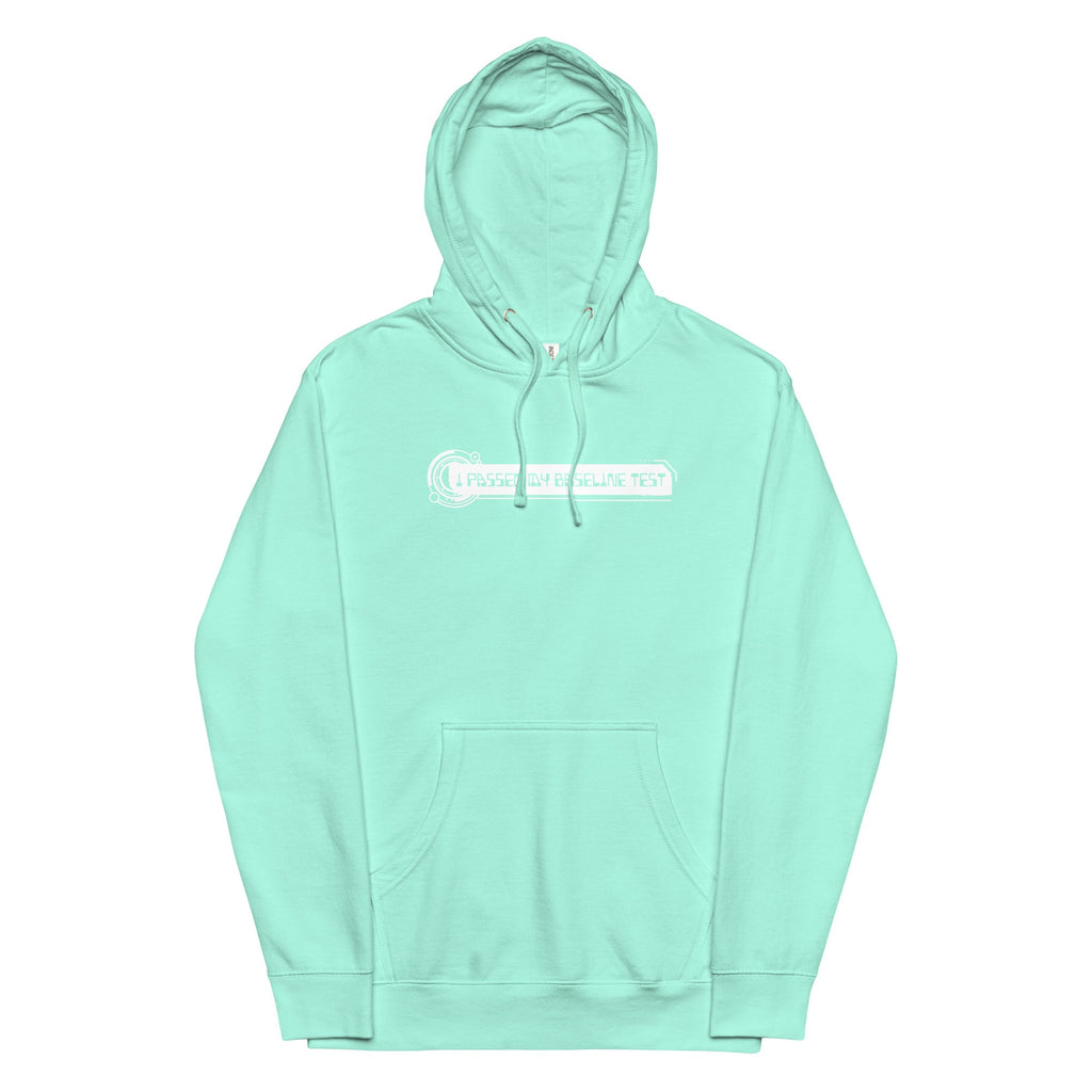 BASELINE TEST - BT-0049 midweight hoodie Embattled Clothing Mint S 