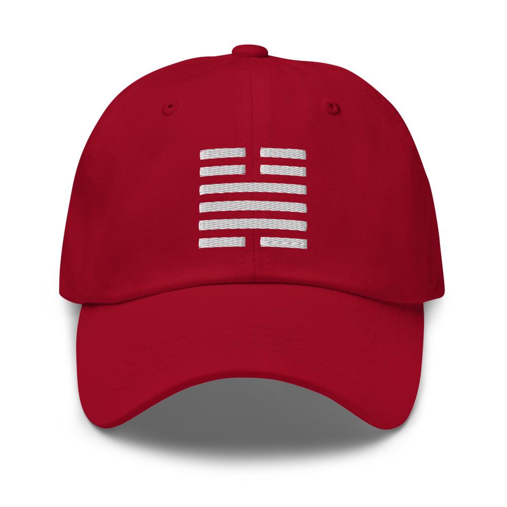 THE FORCE Dad hat Embattled Clothing Cranberry 