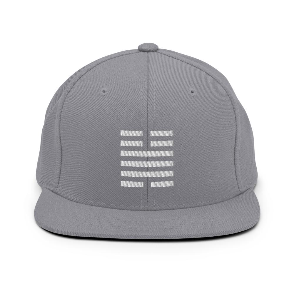 THE FORCE Snapback Hat Embattled Clothing Silver 
