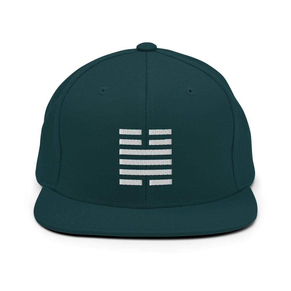 THE FORCE Snapback Hat Embattled Clothing Spruce 